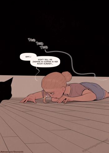 Cover of Tyler's Cat Chase 1